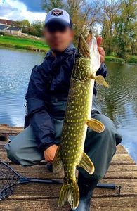 Northern Pike