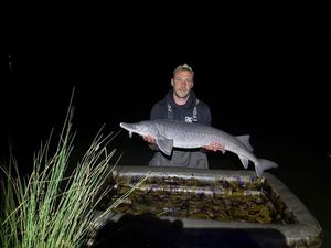 Sturgeon