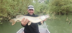 Northern Pike