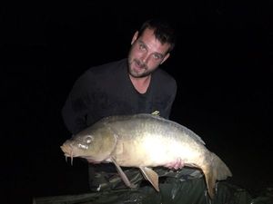 Mirror Carp