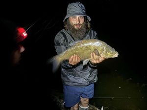 Common Bream