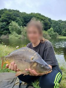 Mirror Carp