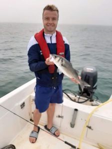 European Bass (Seabass)