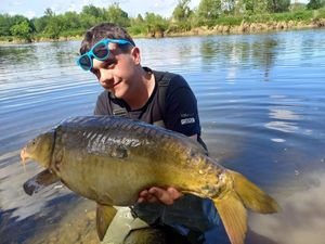 Mirror Carp