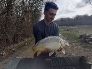 Mirror Carp