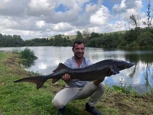 Sturgeon