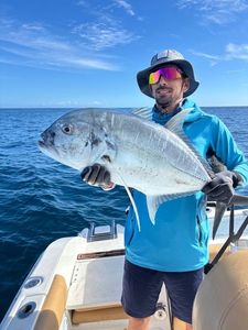 Giant Trevally (GT)