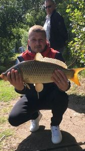 Common Carp