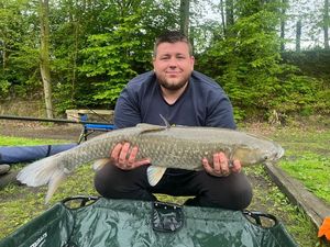 Grass Carp