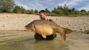 Mirror Carp