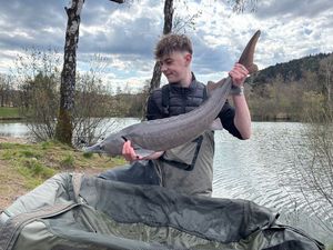 Sturgeon
