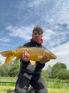 Mirror Carp