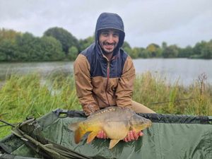 Mirror Carp