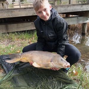 Mirror Carp