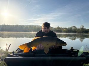 Mirror Carp