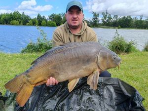 Mirror Carp