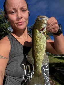 Largemouth Bass