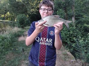 Crucian Carp