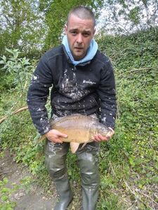 Mirror Carp