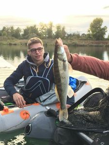 Zander