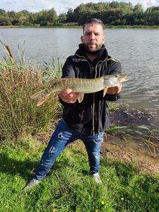 Northern Pike