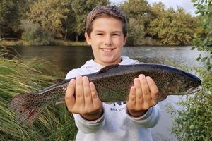 Rainbow Trout