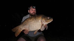 Common Carp