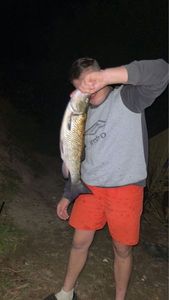 Chub