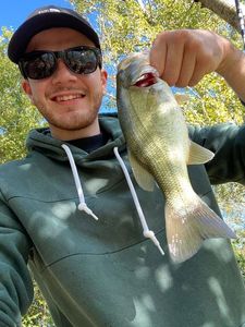 Smallmouth Bass