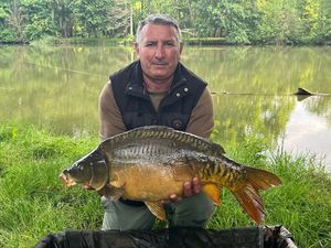 Mirror Carp