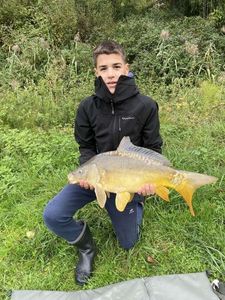 Common Carp
