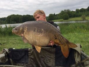 Mirror Carp