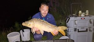 Mirror Carp