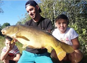 Mirror Carp