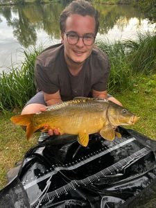 Mirror Carp