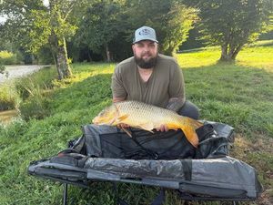 Common Carp