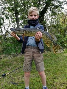 Northern Pike