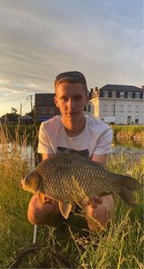 Crucian Carp