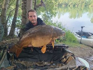 Mirror Carp