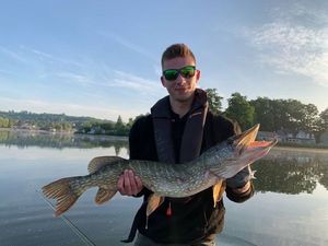Chain Pickerel