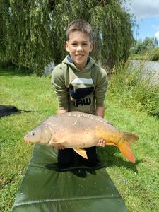 Mirror Carp