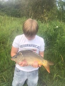 Mirror Carp