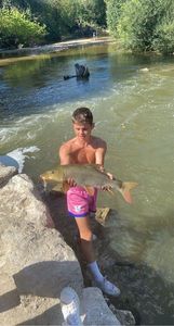 Barbel