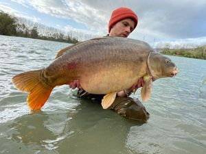 Mirror Carp