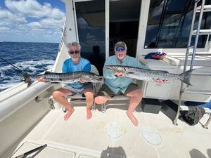 Great Barracuda