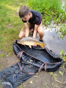 Mirror Carp