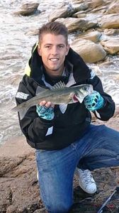 European Bass (Seabass)
