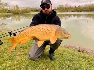 Common Carp