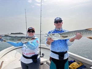 Great Barracuda