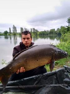 Mirror Carp